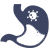Gastroenterology
