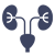 Nephrology