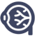Ophthalmology Or Eye