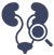 Urology